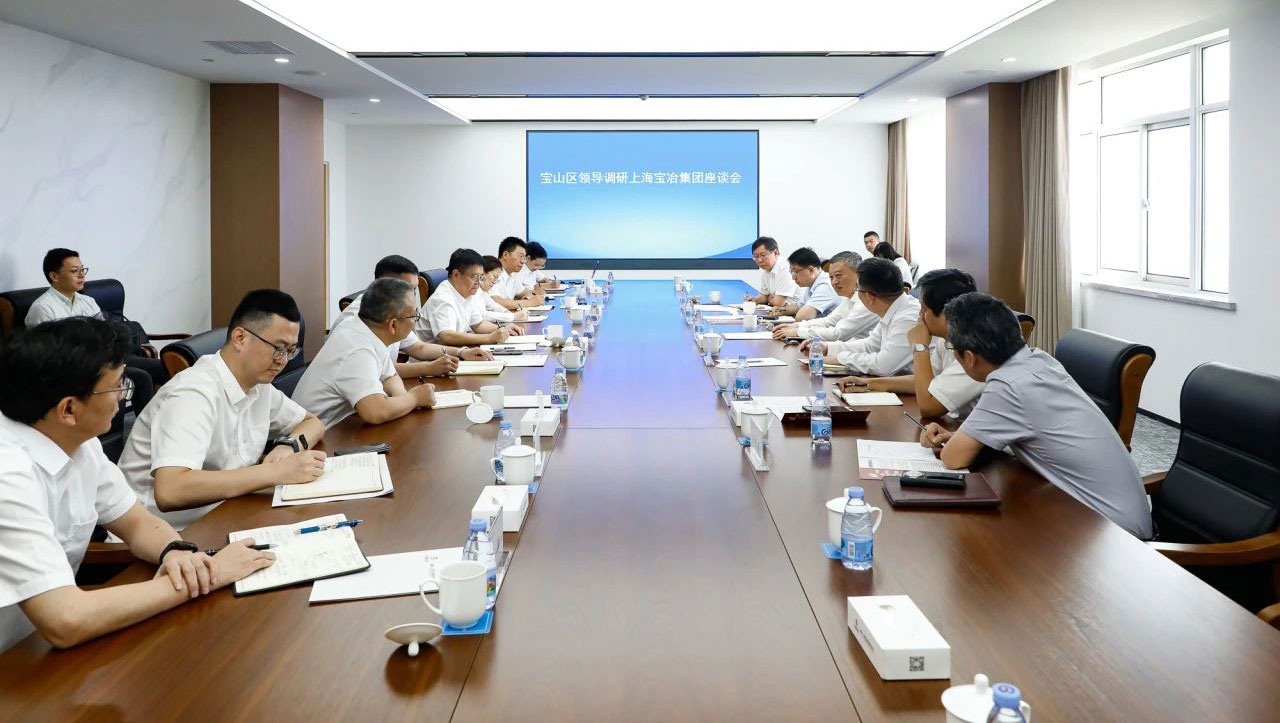 宝山区委书记李晨昊一行调研上海凯时KB88